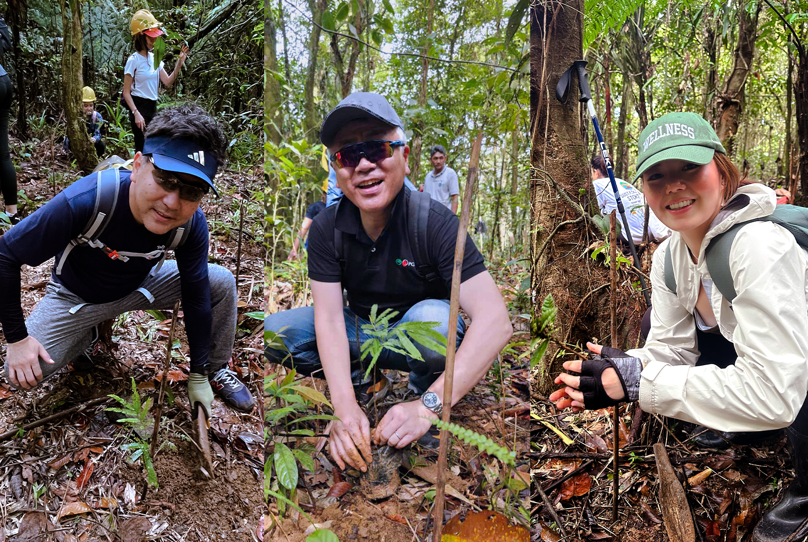 treeplanting1.png